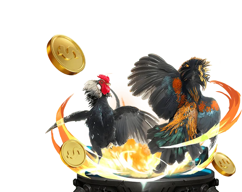 Khuyến mãi hàng ngày cf68